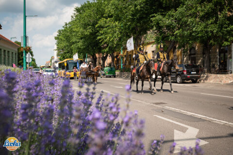 Rendezvényfotózás - Laska fesztivál - Cegléd