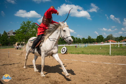 Rendezvényfotózás - Laska fesztivál - Cegléd