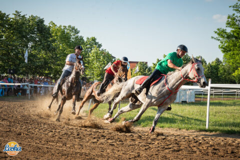 Rendezvényfotózás - Laska fesztivál - Cegléd