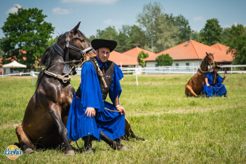 Rendezvényfotózás - Laska fesztivál - Cegléd