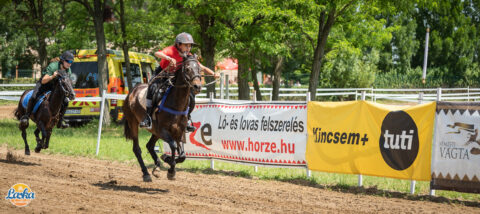Rendezvényfotózás - Laska fesztivál - Cegléd