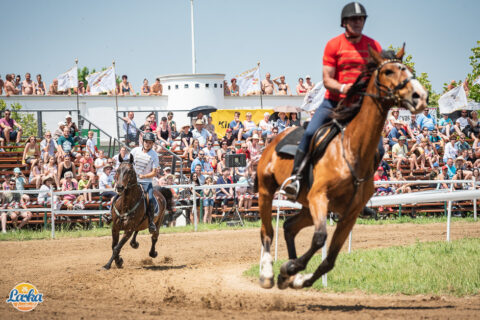Rendezvényfotózás - Laska fesztivál - Cegléd