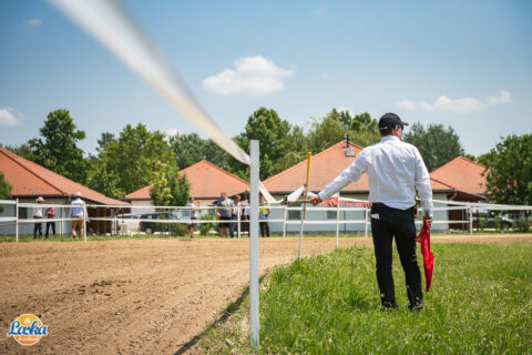 Rendezvényfotózás - Laska fesztivál - Cegléd