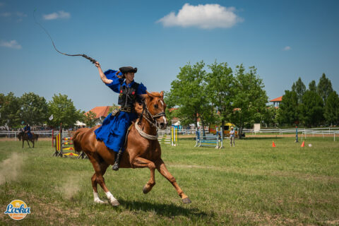 Rendezvényfotózás - Laska fesztivál - Cegléd